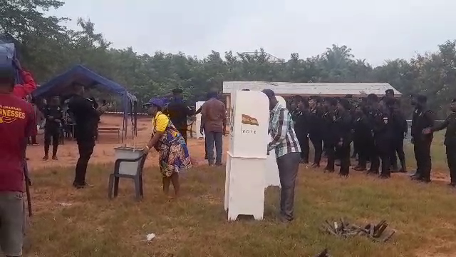 npp primaries