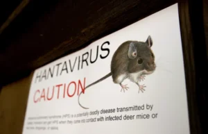 Hantavirus