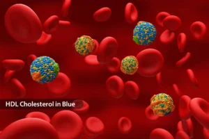 Better Cholesterol Profile